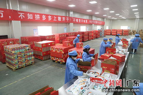 拼多多年貨節(jié)銷(xiāo)售額破2億單，廣東購(gòu)買(mǎi)力領(lǐng)跑全國(guó)，食品品類(lèi)表現(xiàn)突出